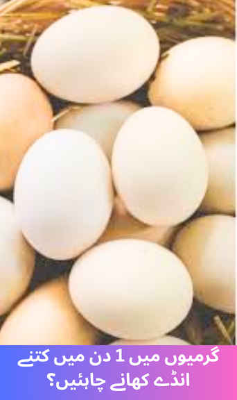 How many eggs should you eat in a day during summer